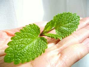 �����b�T